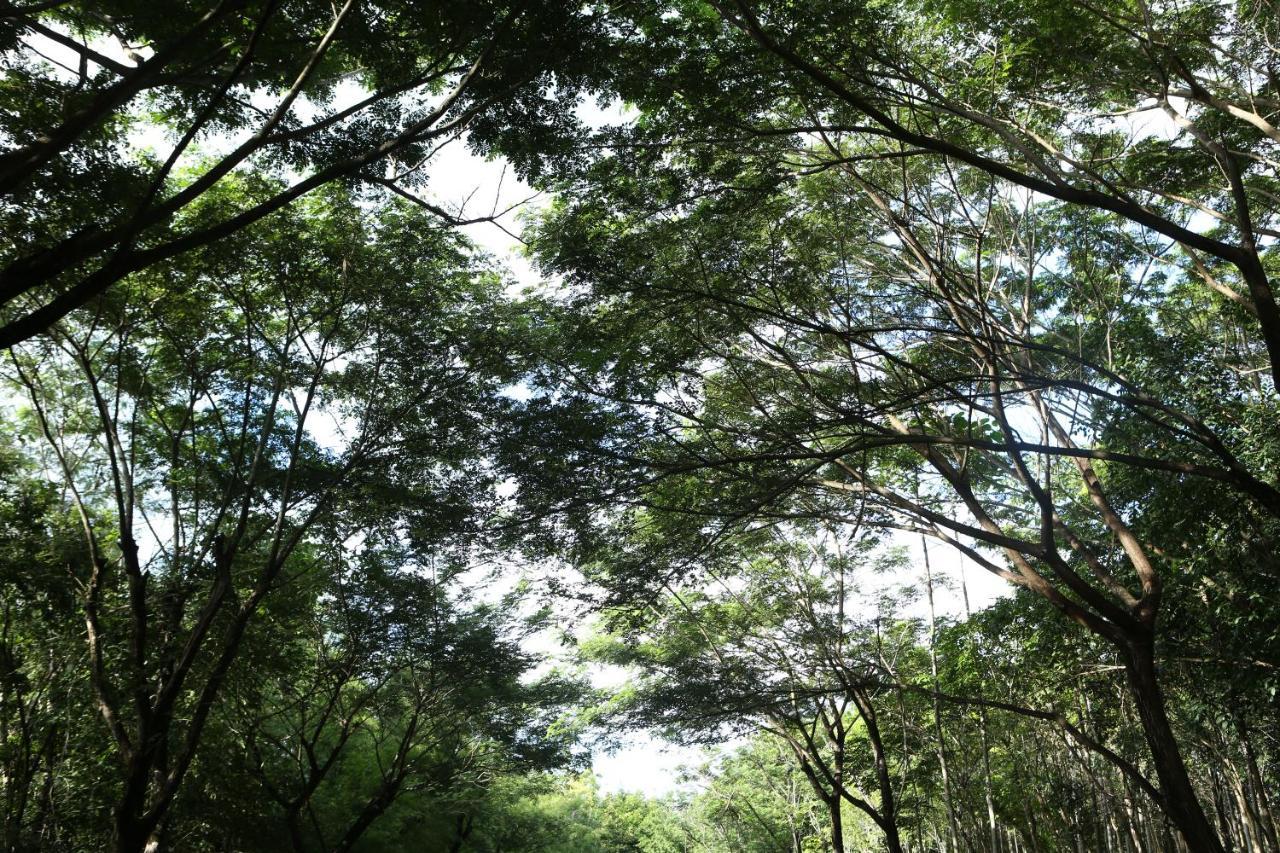 InterContinental Khao Yai Resort, an IHG Hotel Pak Chong Esterno foto